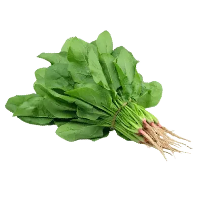 Cải bó xôi 500g