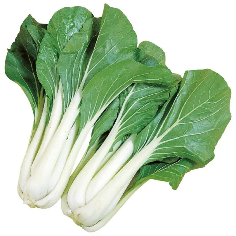 Cải bẹ trắng 500g