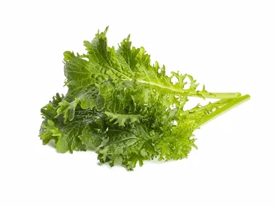 Cải wasabina 500g