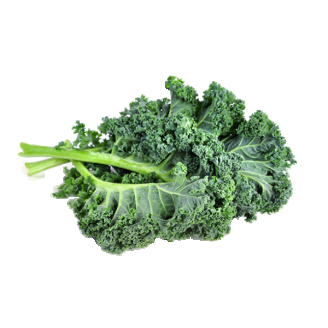 Cải xoăn (kale)