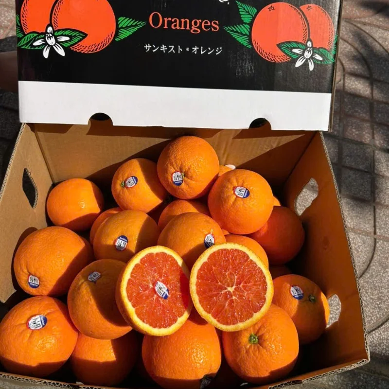 Cam Cara Mỹ Sunkist