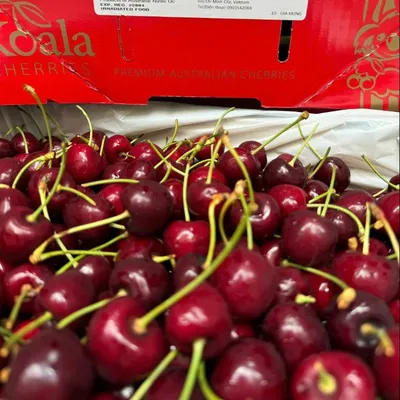 Cherry Úc Vip