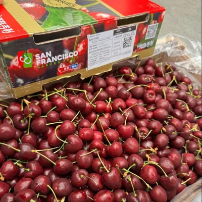 Cherry Chile Vip