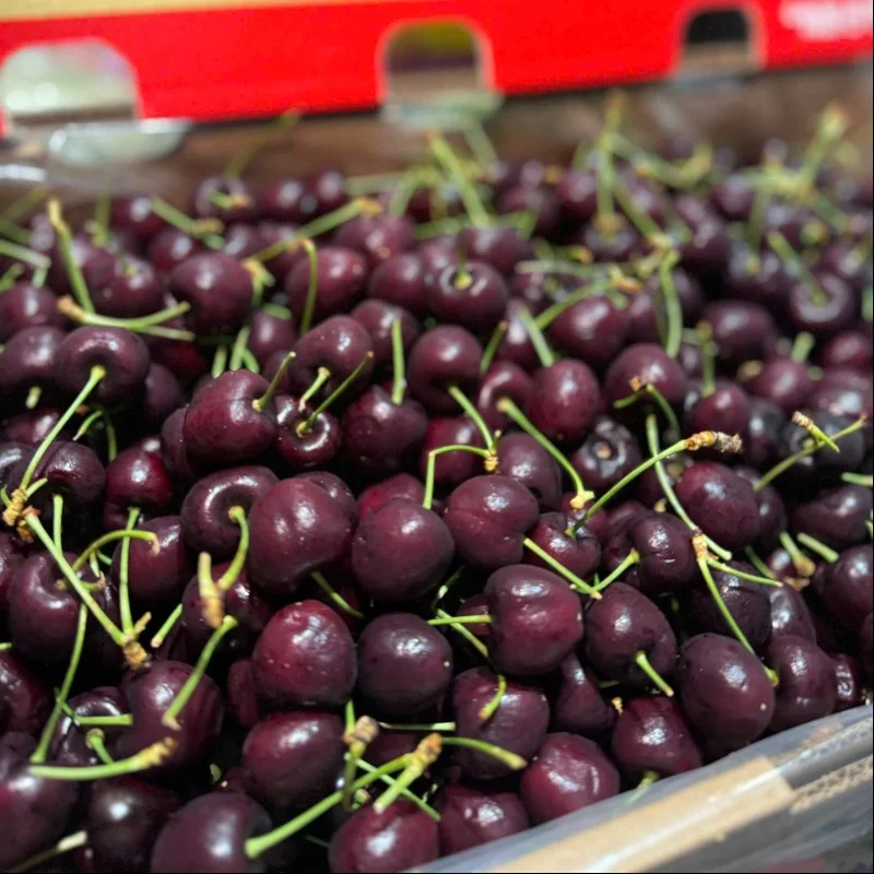 Cherry New Zealand