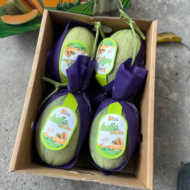 Dưa Lưới Hello