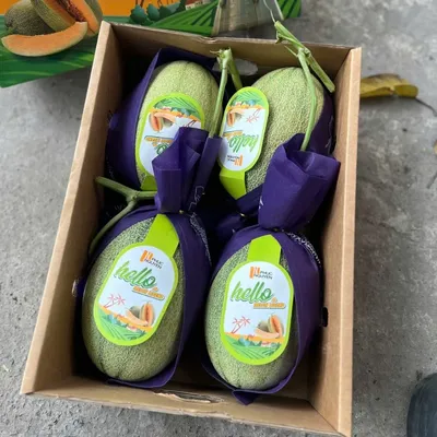 Dưa Lưới Hello