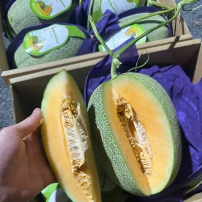 Dưa Lưới Queen Melon