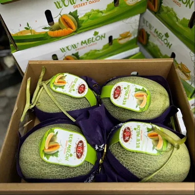 Dưa lưới Wow