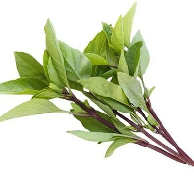 Rau húng quế 300g