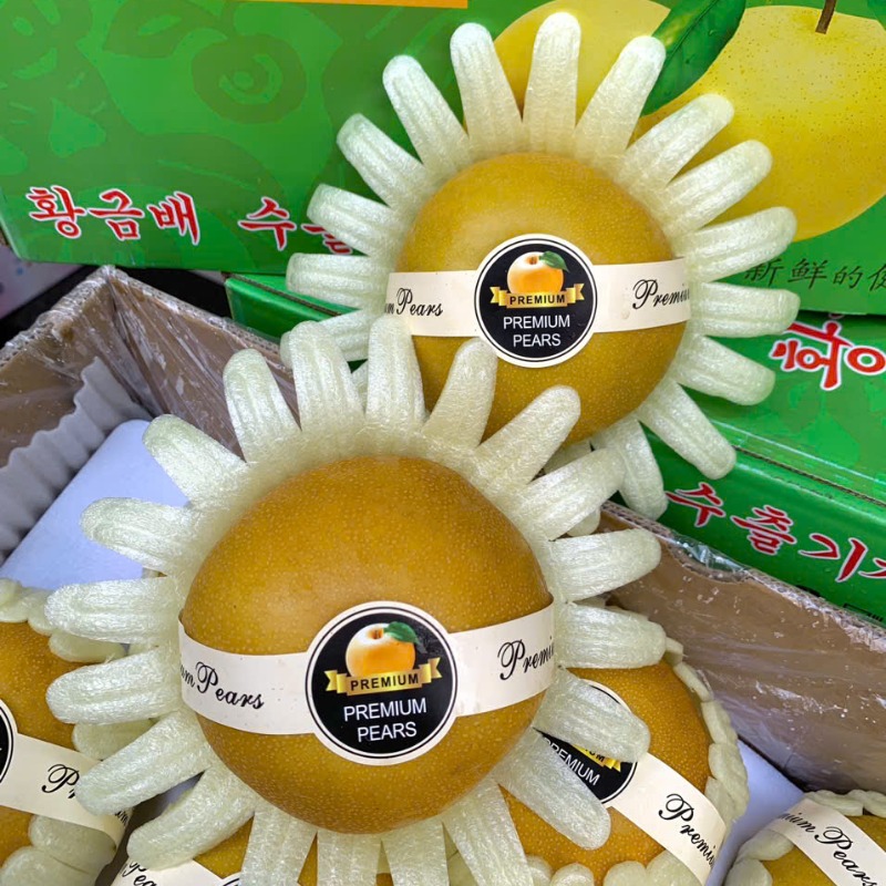 Lê mật giống Nhật