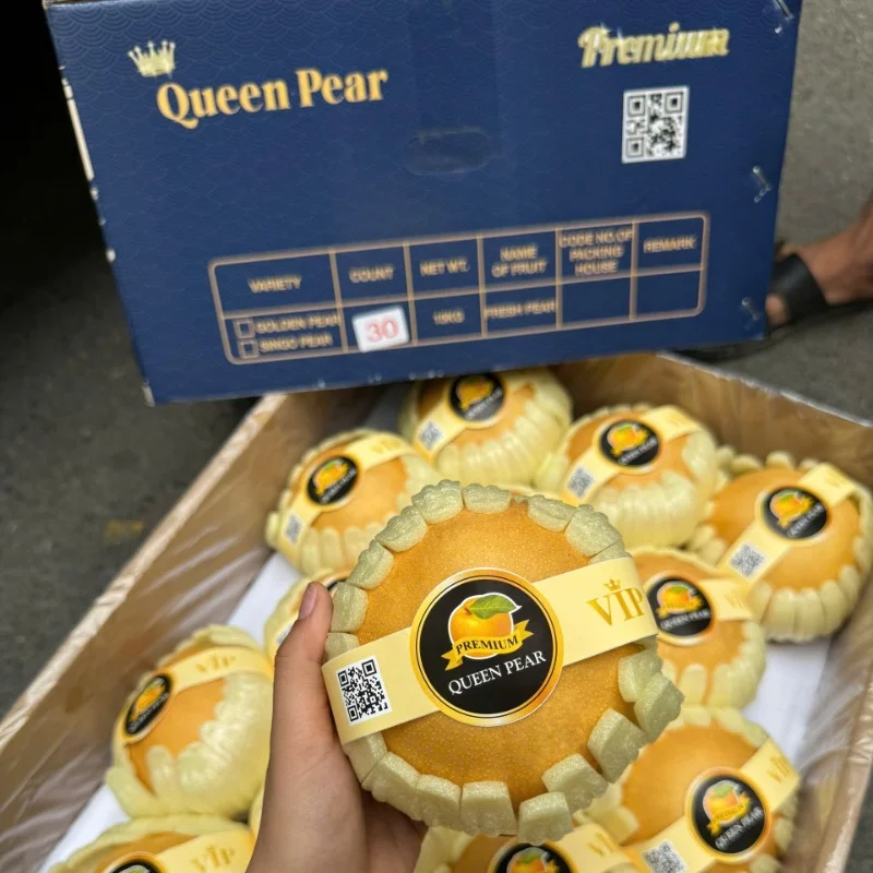 Lê nâu Queen
