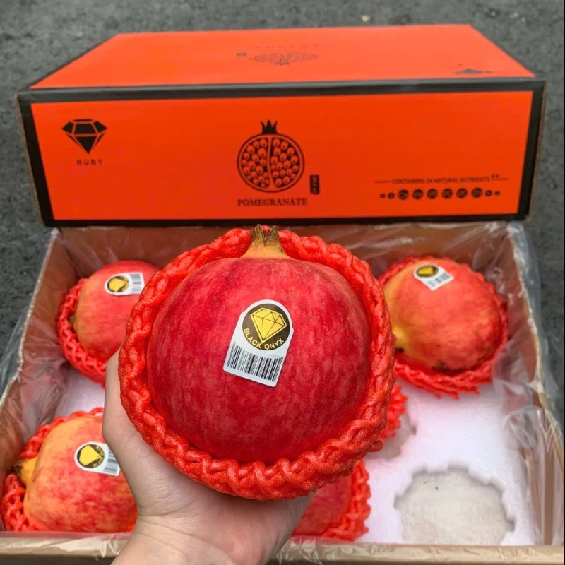 Lựu Ruby sz7