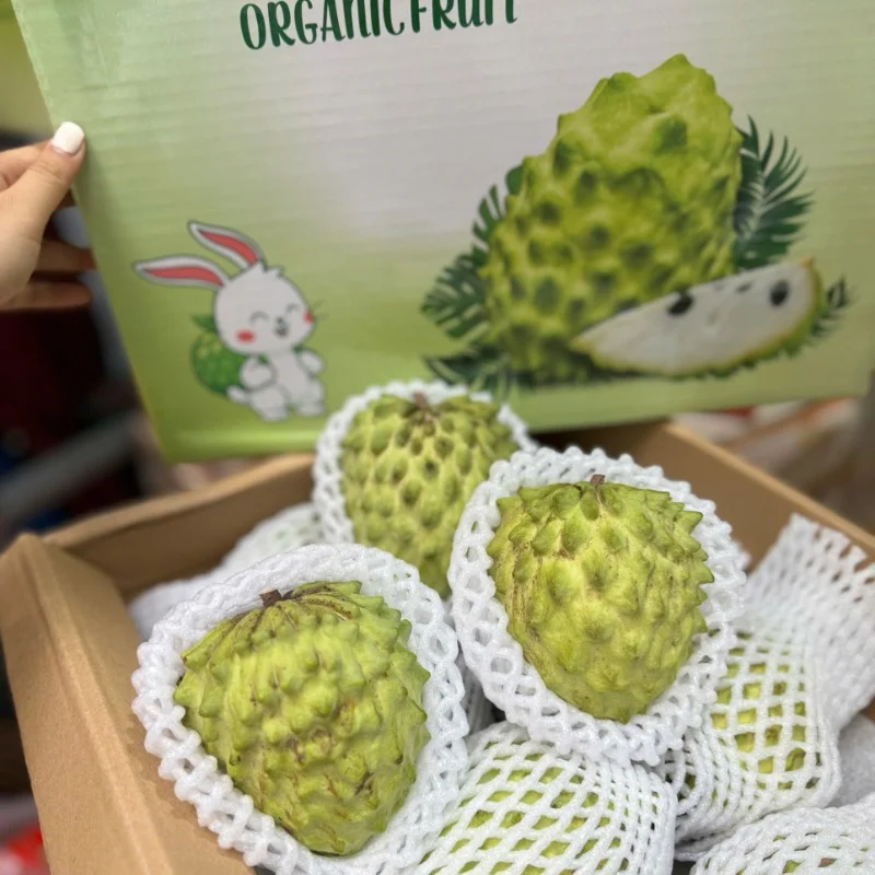 Na Đài Loan