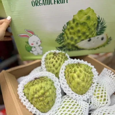 Na Đài Loan