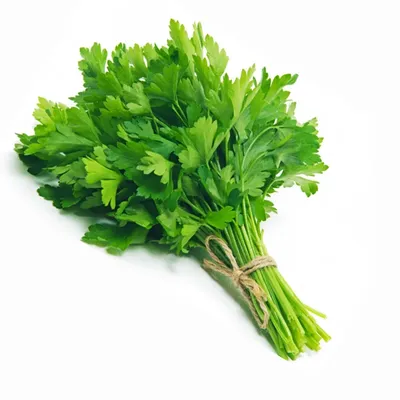 Ngò Tây 100g