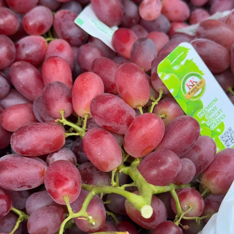 Nho Đỏ Crimson Úc