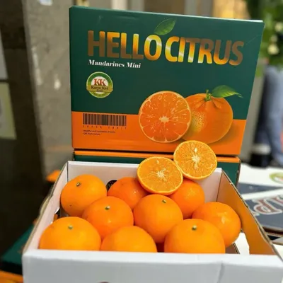 Quýt tấm Hello Citrus