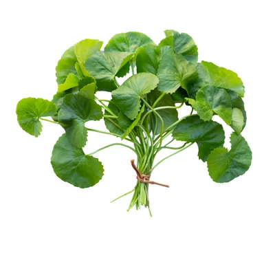 Rau má
