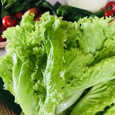 Xà lách Bata xanh 300g