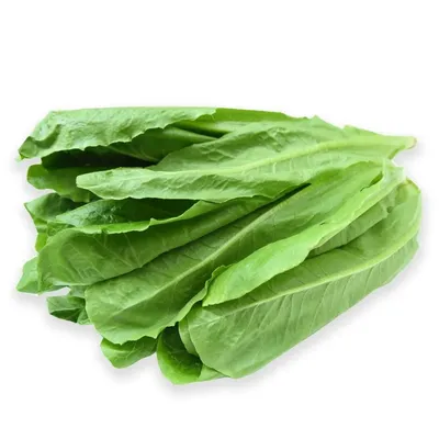 Xà lách Romaine xanh 300g