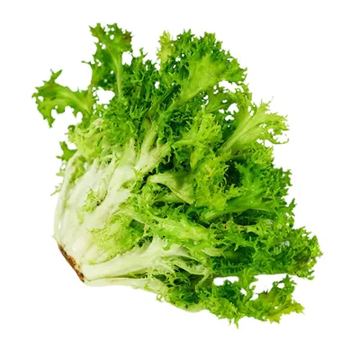Xà lách frisee 300g