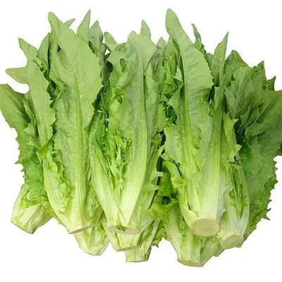 Xà lách lá nhọn 300g