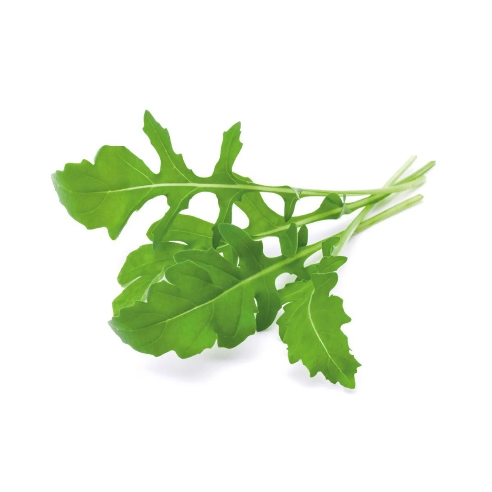 Xà lách rocket 300g