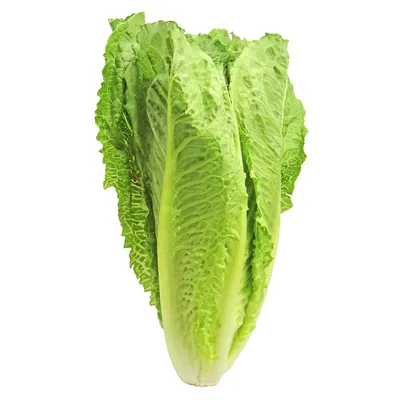 Xà lách roman ngọt 300g