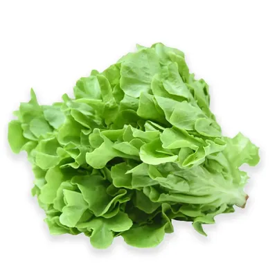 Xà lách sồi xanh 300g