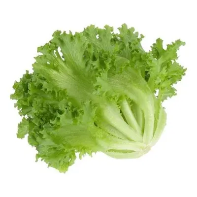 Xà lách thủy tinh 300g