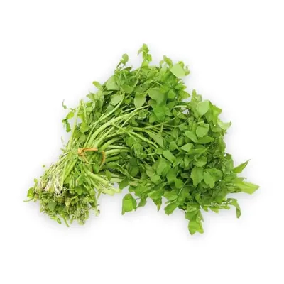 Xà lách xoong 500g