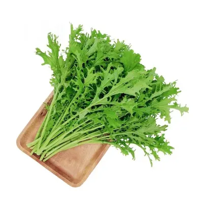 Cải đuôi phụng