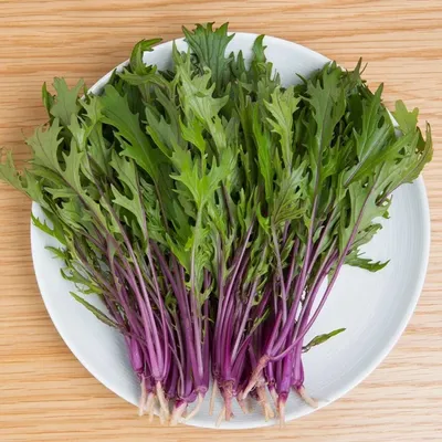 Xà lách Mizuna tím 500g