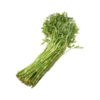 Cần nước