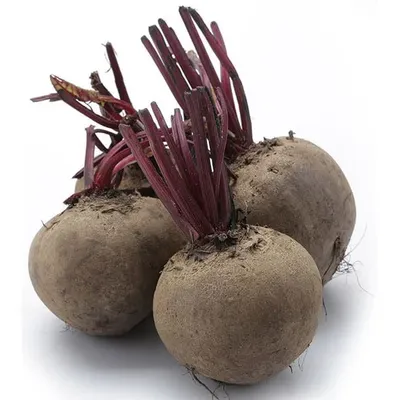 Củ Dền 500g
