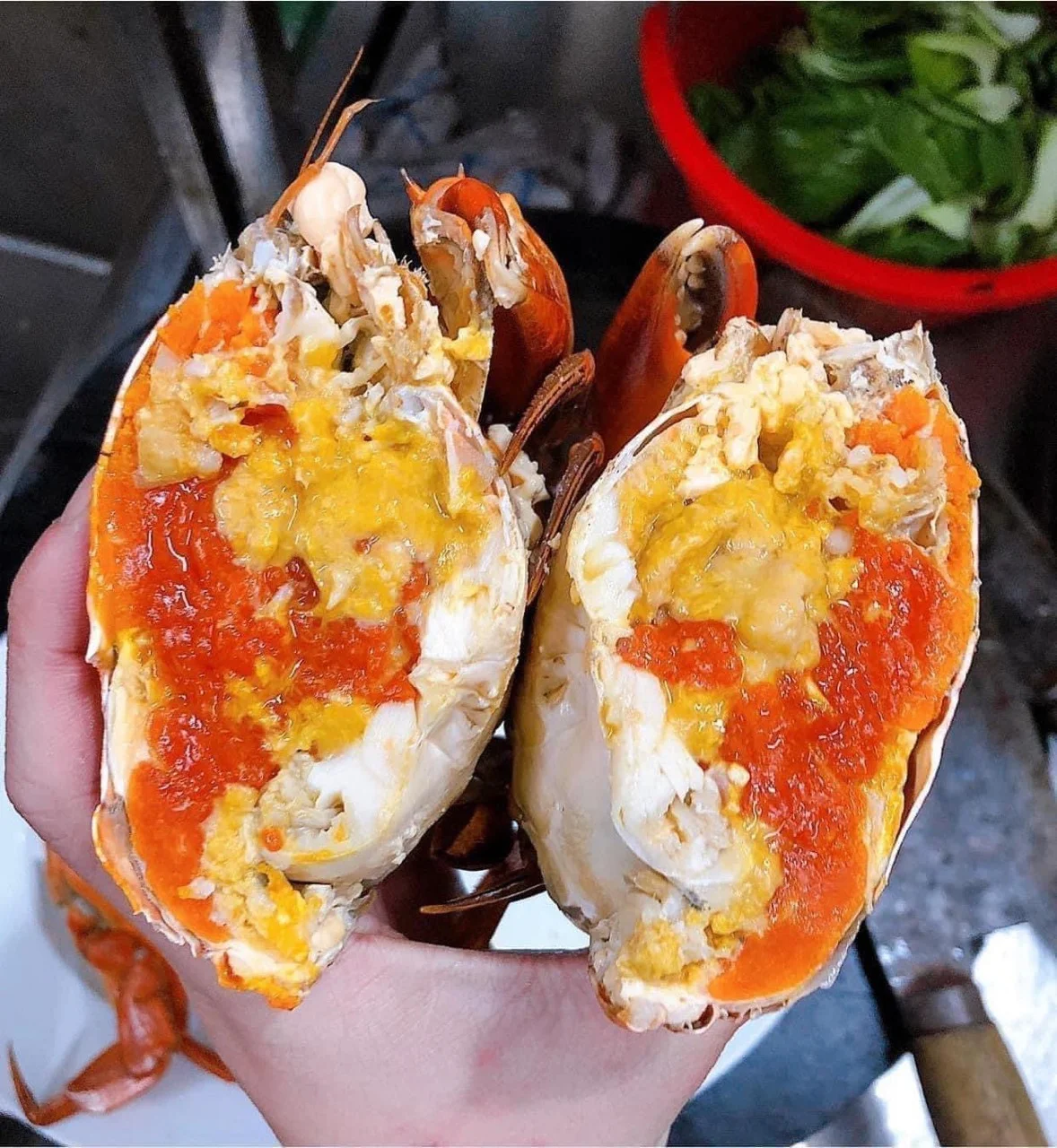 Cua Gạch Khủng Long (>700gr/con)