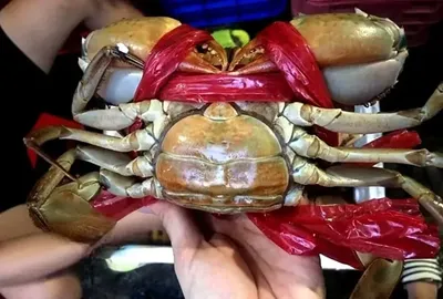 Cua Gạch Nhỏ (4 con/kg)