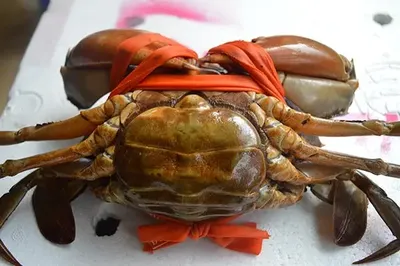 Cua Gạch Vừa (3 con/kg)