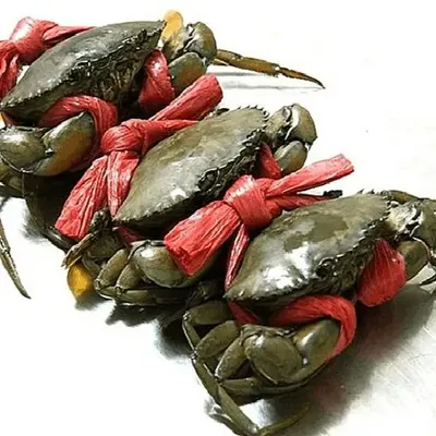 Cua Thịt Y4 (4 con/kg)