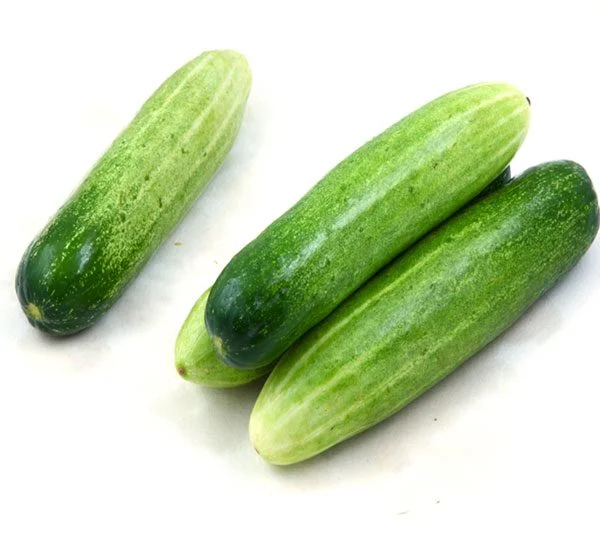 Dưa Leo