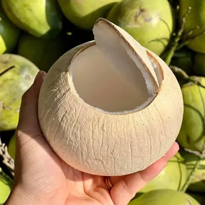 Dừa Xiêm Bến Tre