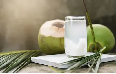 Dừa Xiêm Xanh Thái Lan