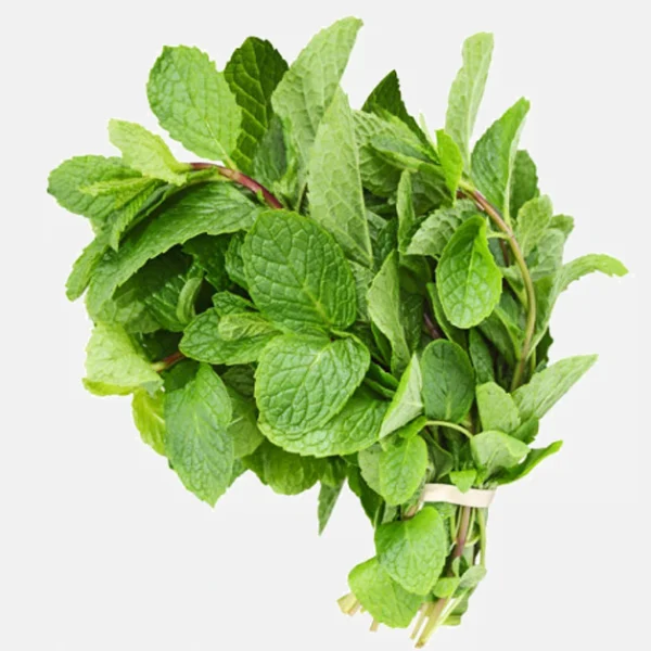 Húng Lủi 300g