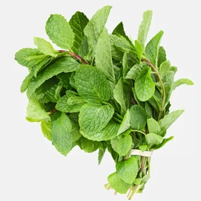 Húng Lủi 300g