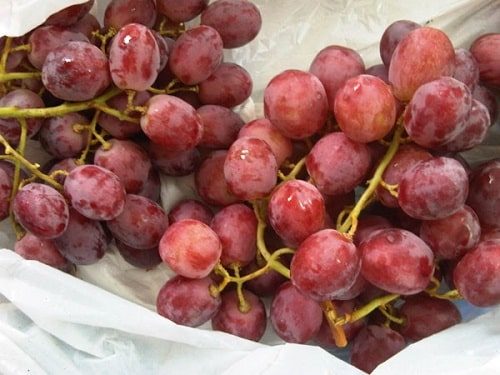 Nho Đỏ Chile Không Hạt