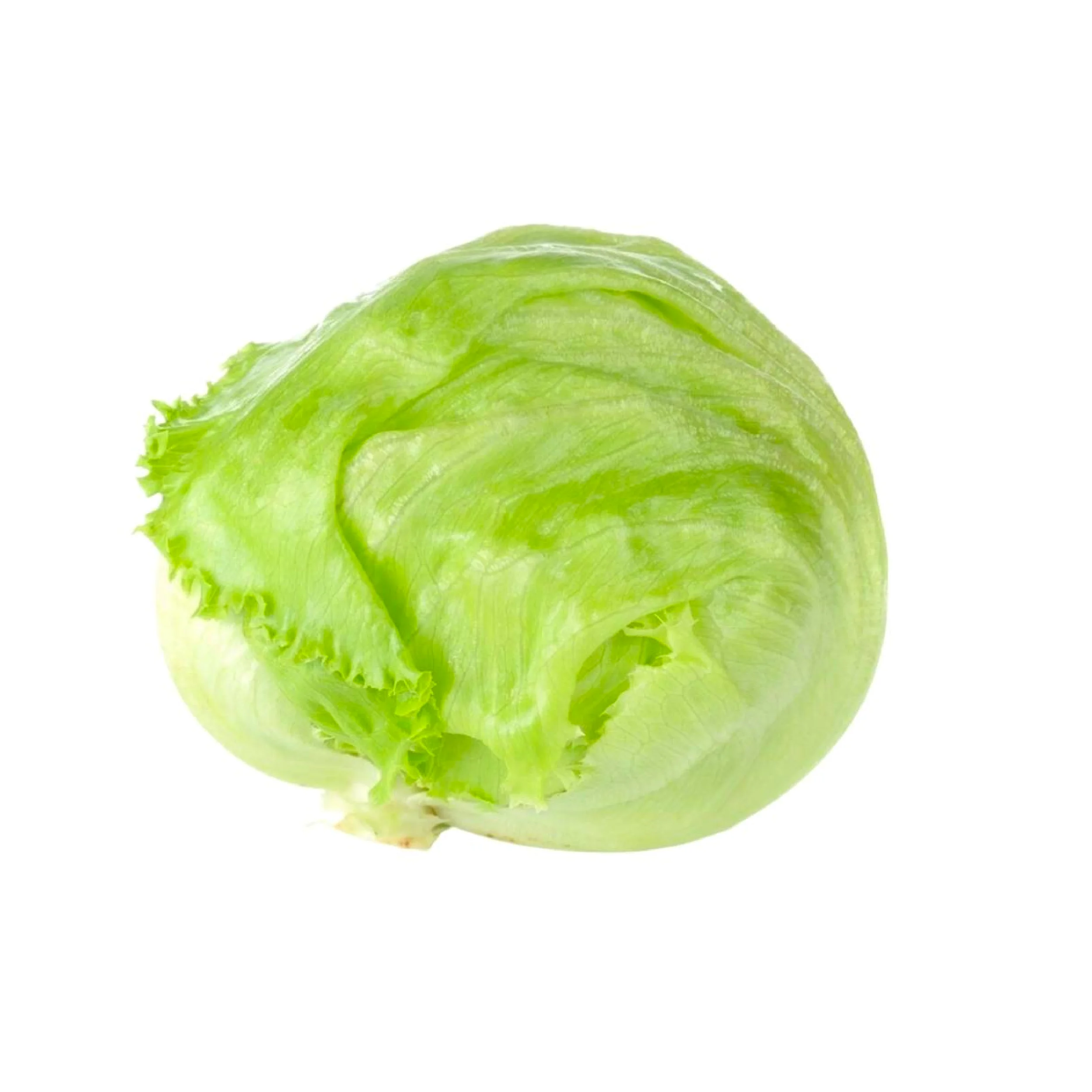 Xà Lách Mỹ