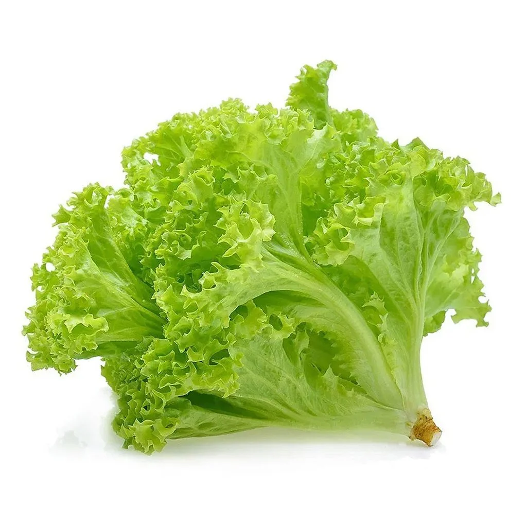 Xà lách lolo xanh 300g