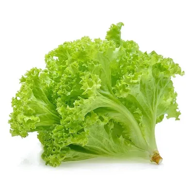 Xà lách lolo xanh 300g