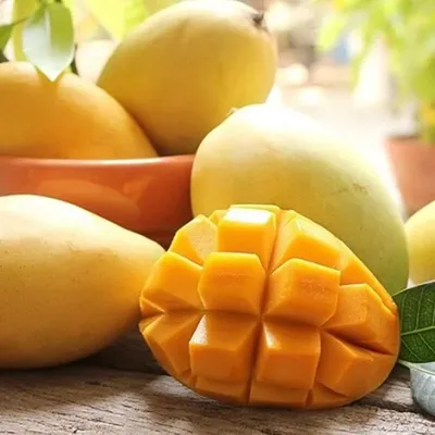 Xoài Cát Hòa Lộc
