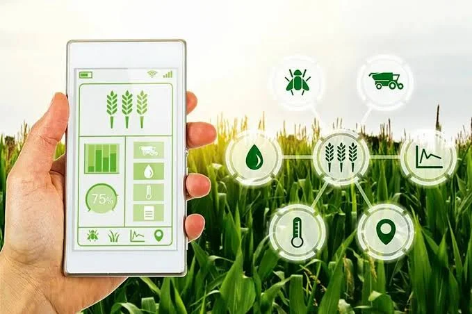 Blockchain Trong Nông Nghiệp: Cuộc Cách Mạng Truy Xuất Nguồn Gốc Nông Sản Thời 4.0